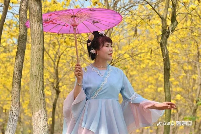 内自同城 | 超出片!内江这一大片金色花海等你来打卡(图7) 7.jpg