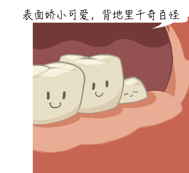 齿3.gif