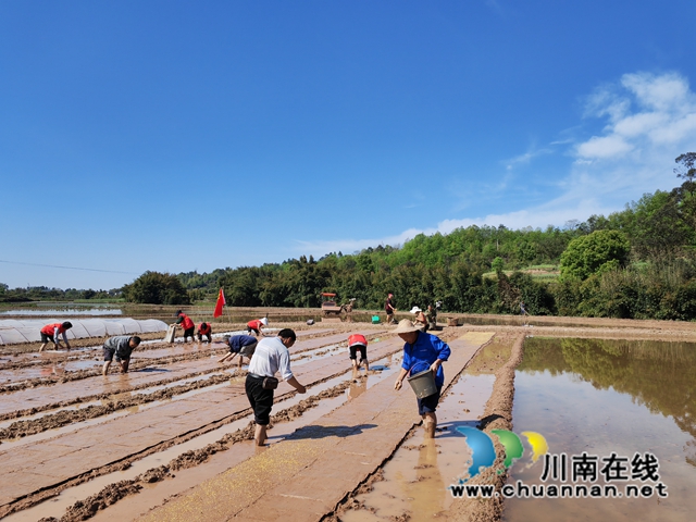 播种（曾佐然摄）.jpg