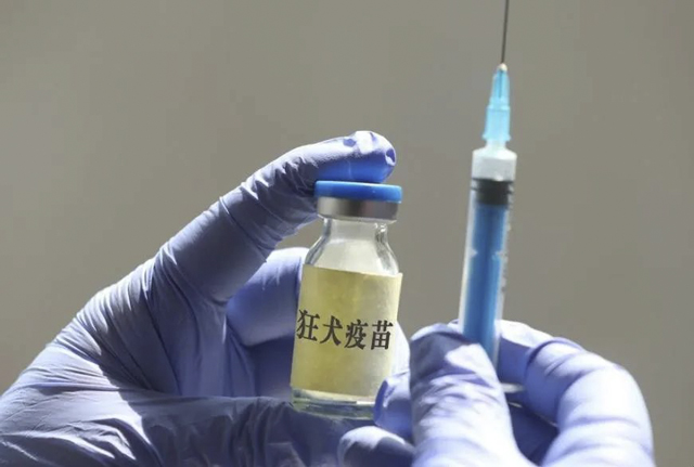 【关注】不止忠犬八公,还有恶犬伤人……(图3) 3.jpg