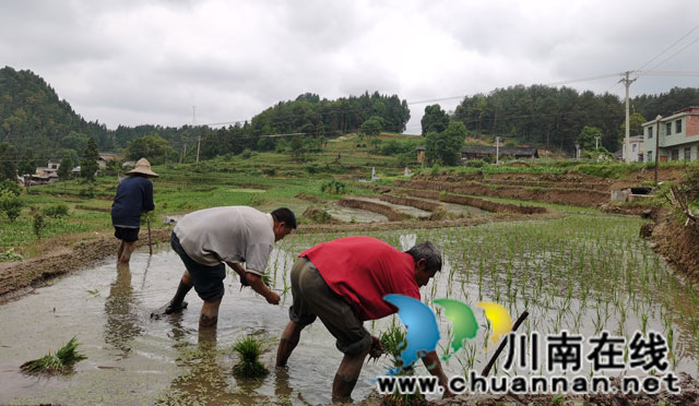我的乡村振兴发展观(图5) 1.jpg