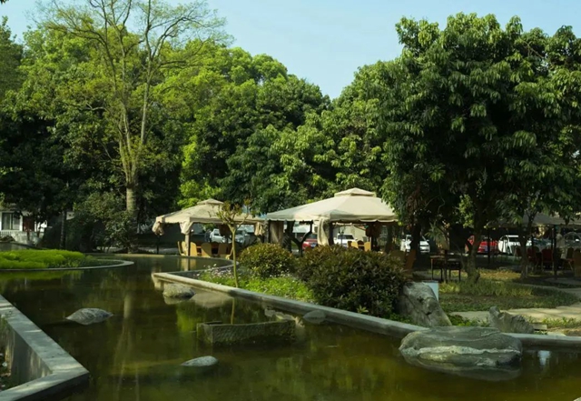 酒博会即将召开,会展中心周边美景先睹为快!(图4) 4.jpg