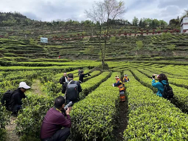 古蔺县开展泸州40正当红 “酱心古蔺 得意之城”主题摄影活动(图3) 3.jpg