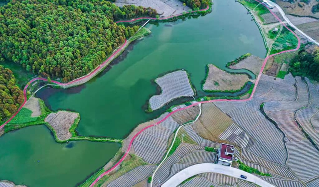 古蔺县开展泸州40正当红 “酱心古蔺 得意之城”主题摄影活动(图11) 11.jpg