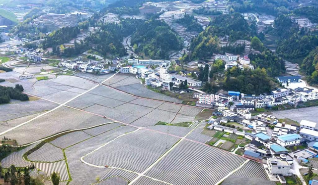 古蔺县开展泸州40正当红 “酱心古蔺 得意之城”主题摄影活动(图7) 7.jpg