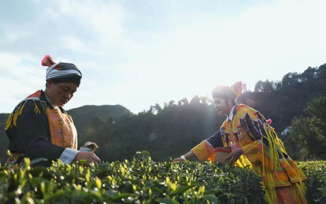 古蔺县开展泸州40正当红 “酱心古蔺 得意之城”主题摄影活动(图16) 16.jpg