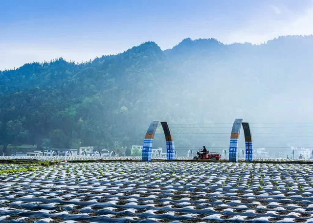 古蔺县开展泸州40正当红 “酱心古蔺 得意之城”主题摄影活动(图18) 18.jpg