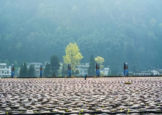 古蔺县开展泸州40正当红 “酱心古蔺 得意之城”主题摄影活动(图20) 20.jpg