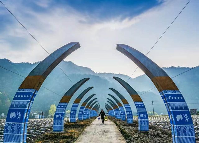 古蔺县开展泸州40正当红 “酱心古蔺 得意之城”主题摄影活动(图21) 21.jpg