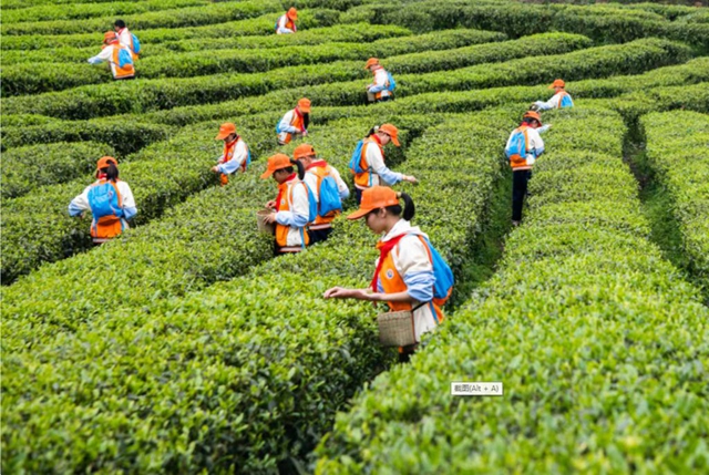 古蔺县开展泸州40正当红 “酱心古蔺 得意之城”主题摄影活动(图23) 23.jpg