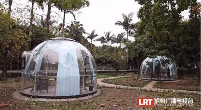 “诗酒里”消费场景项目投用!酒博会期间这些新元素等你“解锁”(图11) 11.jpg