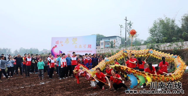 金龙女子龙灯队在栽种现场表演龙灯，祈祷风调雨顺.jpg