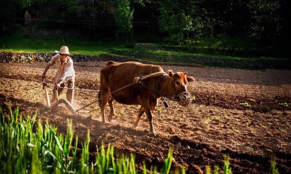 【警惕】吓人!泸州女子右腿被30cm刀片扎穿……(图3) 3.jpg