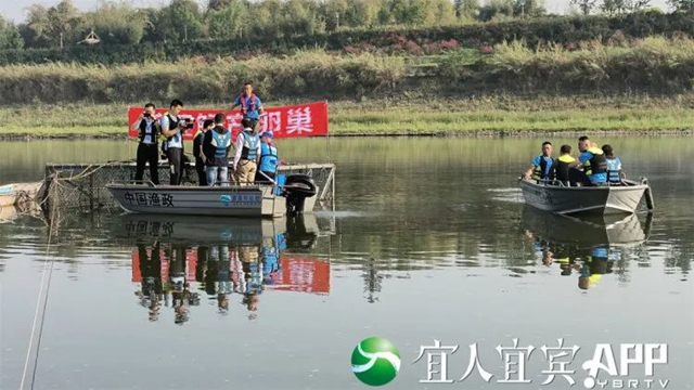 鲟８.jpg