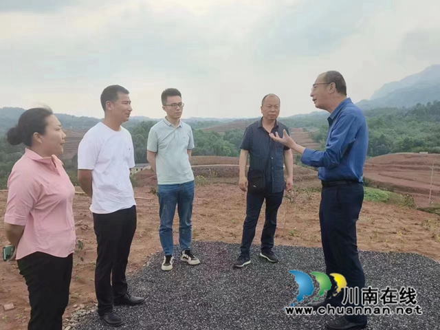 泸州市农业农村局经济作物站到向林镇调研茶产业发展情况2_副本.jpg
