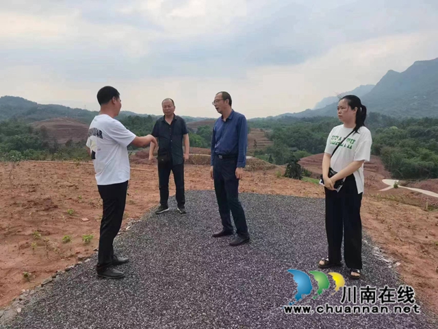 泸州市农业农村局经济作物站到向林镇调研茶产业发展情况.jpg
