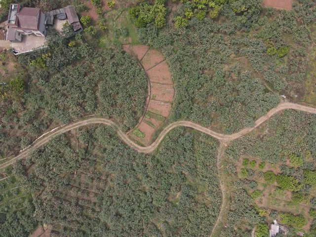 这个周,来泸县海潮感受甜蜜的味道!(图3) 3.jpg