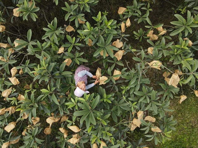 这个周,来泸县海潮感受甜蜜的味道!(图4) 4.jpg