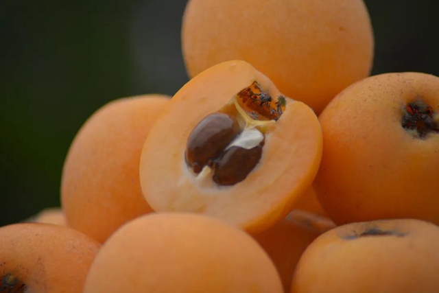 这个周,来泸县海潮感受甜蜜的味道!(图17) 17.jpg