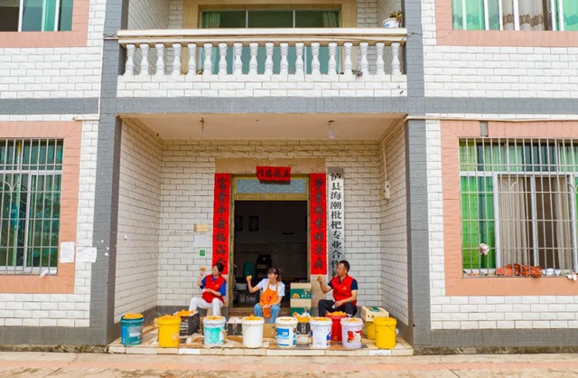 这个周,来泸县海潮感受甜蜜的味道!(图26) 26.jpg