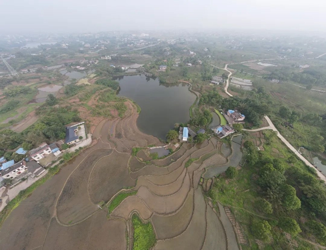 这个周,来泸县海潮感受甜蜜的味道!(图31) 31.jpg