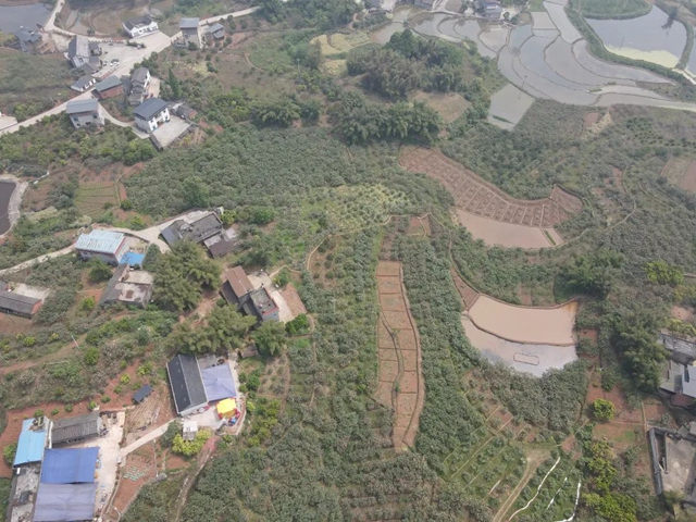 这个周,来泸县海潮感受甜蜜的味道!(图33) 33.jpg