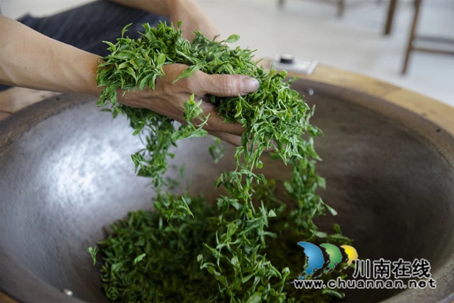全过程介绍,看古蔺一杯茶的诞生!(图7) 7.jpg