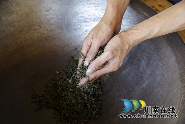 全过程介绍,看古蔺一杯茶的诞生!(图10) 10.jpg