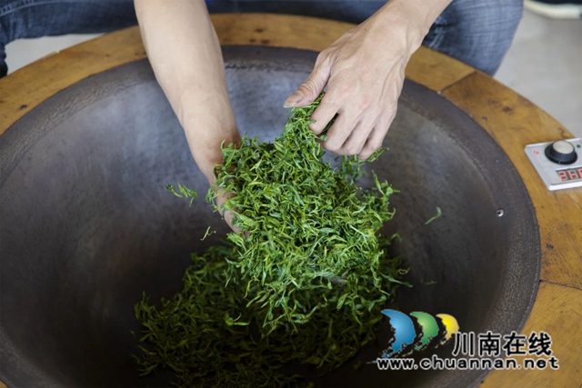 全过程介绍,看古蔺一杯茶的诞生!(图8) 8.jpg