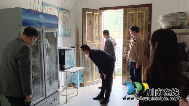 王珂书记、吴桃镇长带队开展安全大检查 (2).jpg