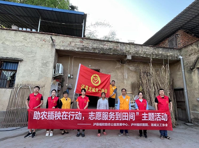 泸县:助农插秧在行动 ,志愿服务到田间(图1) 1.jpg