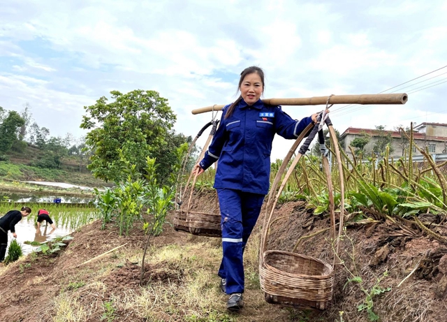 泸县:助农插秧在行动 ,志愿服务到田间(图7) 7.jpg