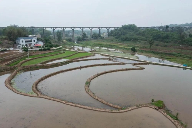 新华社关注泸州这条“人工天河”(图2) 2.jpg