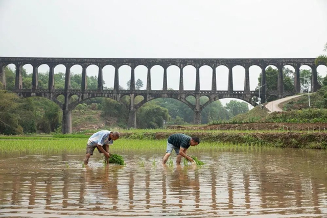 新华社关注泸州这条“人工天河”(图7) 7.jpg
