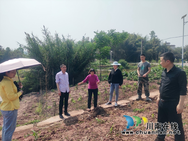 纳溪：“全国人民调解能手”的最后一班岗