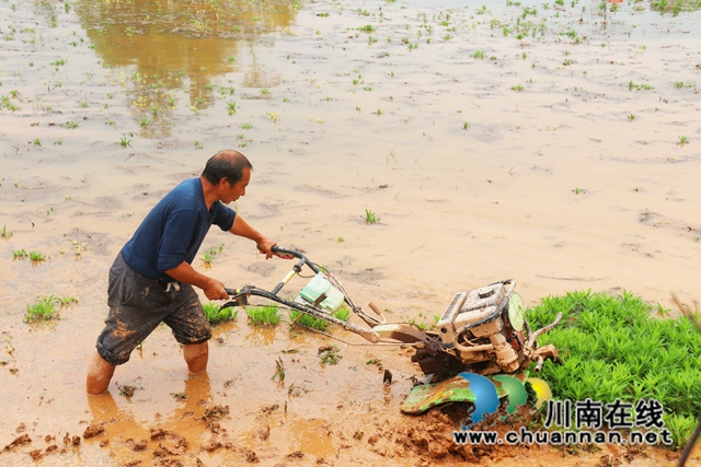 泸县百和镇:抗旱保春耕,多点发力守好“粮袋子”(图1) 农民使用农机进行春耕生产.jpg