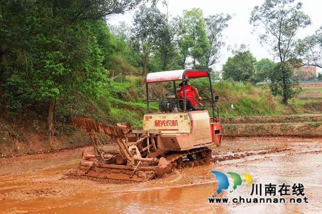 泸县百和镇:抗旱保春耕,多点发力守好“粮袋子”(图2) 大型农机正在进行水田整理.jpg