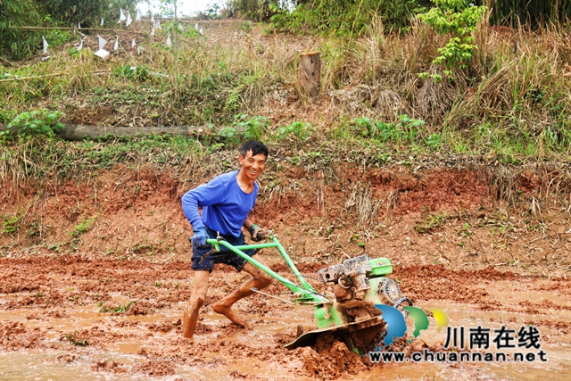 泸县百和镇:抗旱保春耕,多点发力守好“粮袋子”(图4) 农民使用农机进行春耕生产 (2).jpg
