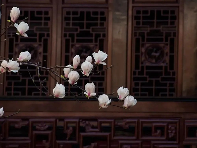 跟着省榜游“五一”,叙永春秋祠上榜!(图3) 3.jpg