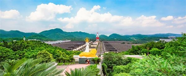 五粮液2022年实现营收739.69亿