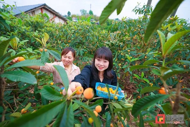 “五一”乡村游,自贡很“火爆”!(图9) 9.jpg