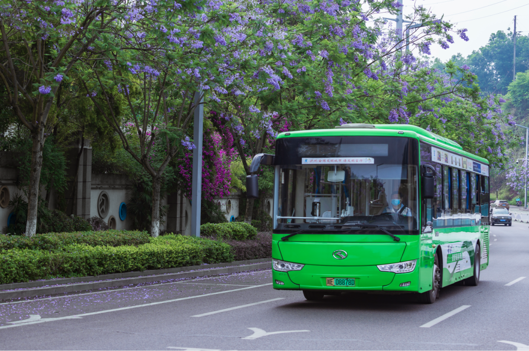 泸州：公交优惠券来啦！绿色出行坐公交 更多福利轻松享