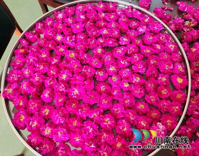 合江：手工玫瑰花酱，初夏一抹香甜滋味