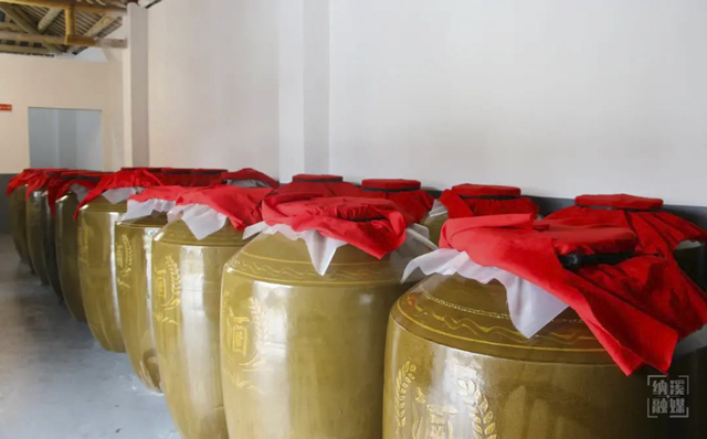 纳溪天仙镇:花式做精枇杷产业 壮大乡村经济(图4) 4.jpg