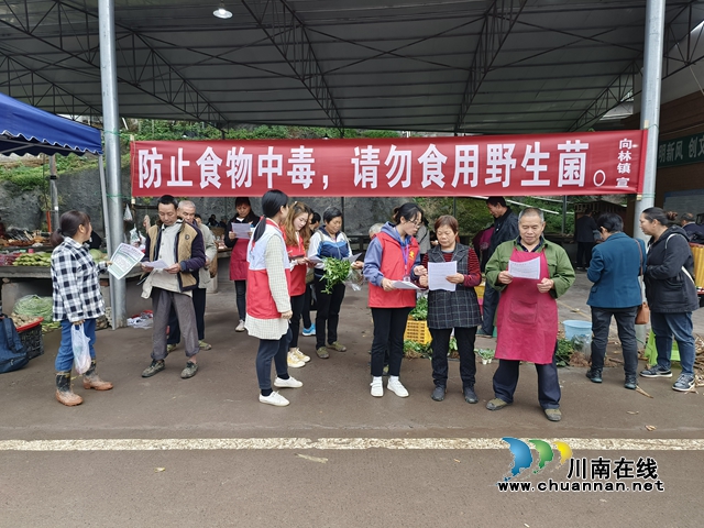 向林镇开展禁采禁售禁食野生菌宣传活动 (3).jpg