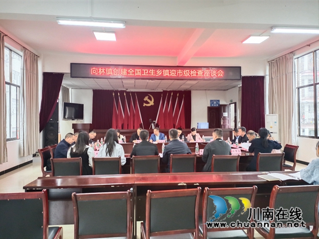 向林镇创建全国卫生乡镇迎市级检查座谈会.jpg