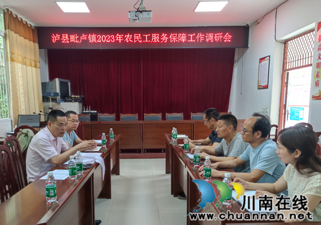 泸县走访调研毗卢镇农民工服务保障工作.jpg