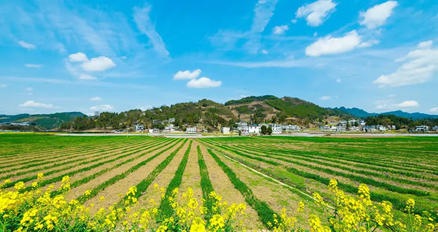 中国旅游日丨古蔺:每时每刻皆有诗意......(图7) 7.jpg