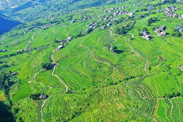 中国旅游日丨古蔺:每时每刻皆有诗意......(图13) 13.jpg