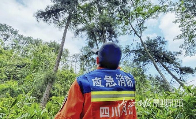 内江人悉心照料18天,“世界上最神秘的鸟”回家了——(图11) 11.jpg